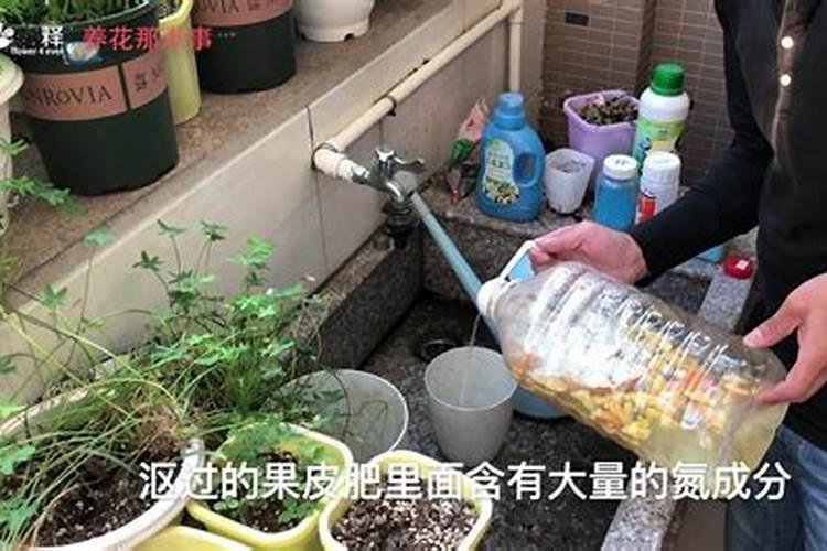 磷肥的沤制方法 关于磷肥的沤制方法