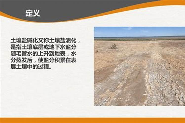 常见的氮肥有什么