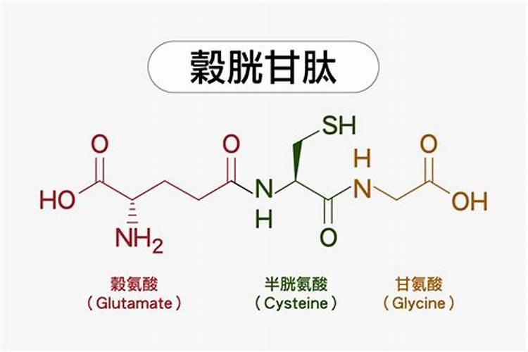 什么是铵态氮肥