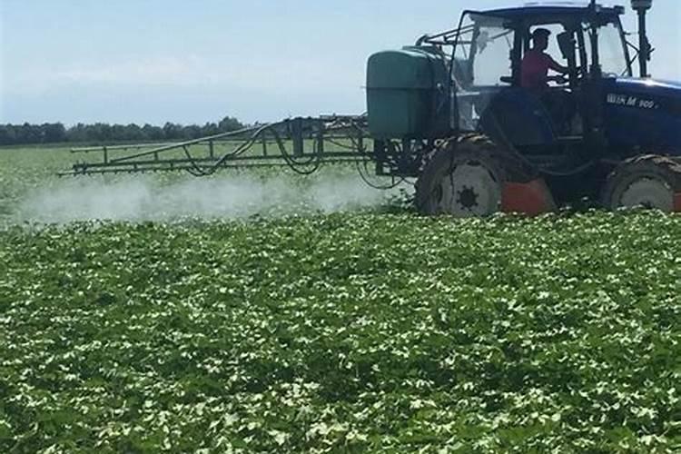 叶面肥和宿节安一起使用对植物有没有影响？