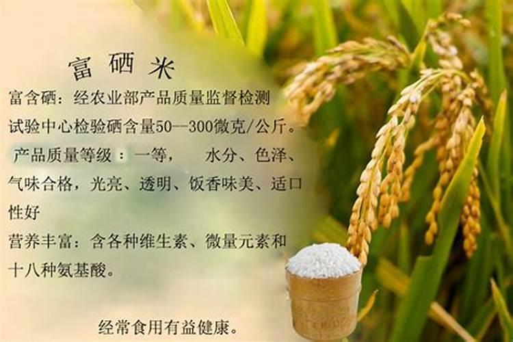 富硒大米是怎么种出来的 富硒大米的特点有哪些
