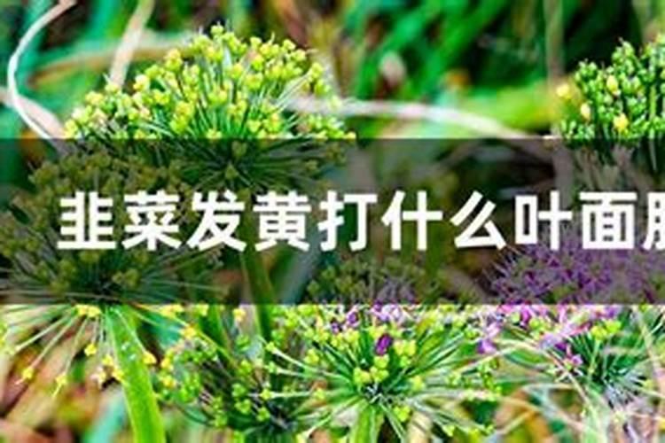 复合肥成分 种类