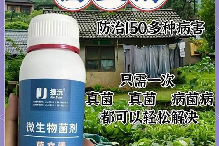 菌立清杀菌剂的作用与功效