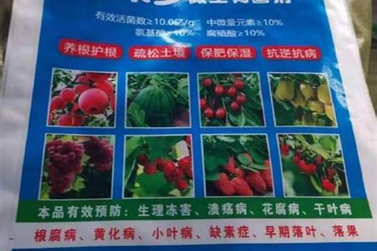 什么是海藻肥