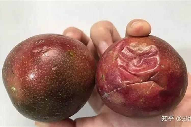 百香果施什么肥挂果多