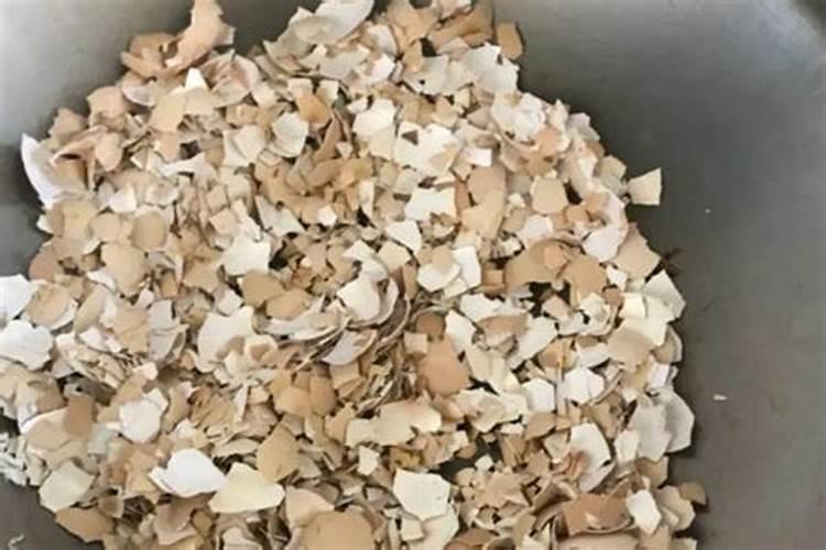 石榴皮做芦荟的肥料可以吗