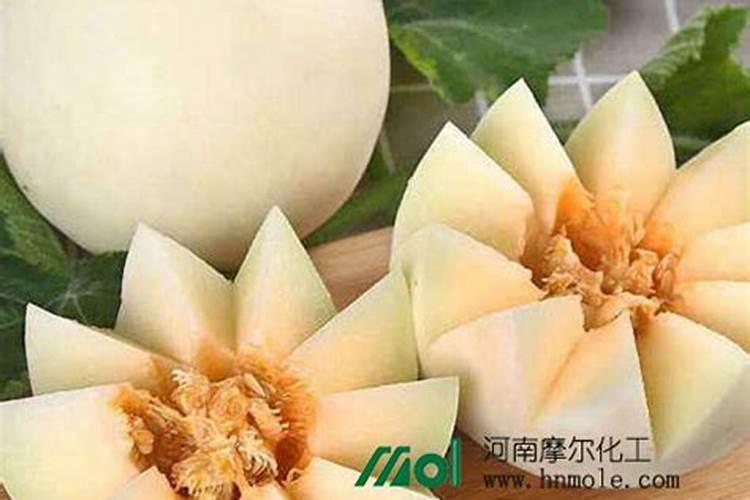 甜瓜膨瓜期能冲施调节剂吗