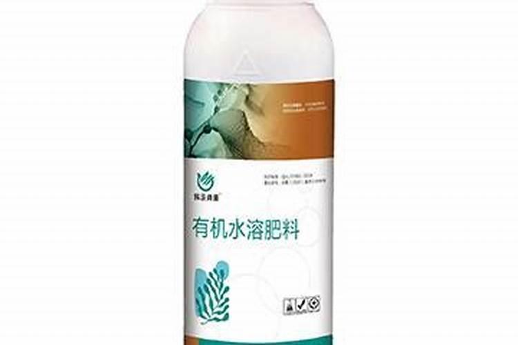 碗莲荷花种在土里还是水里 碗莲荷花适合养在土里还是水里
