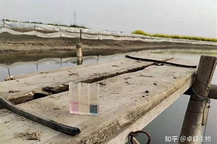 矿源黄腐酸钾和酵母肽肥混用可控青苔吗