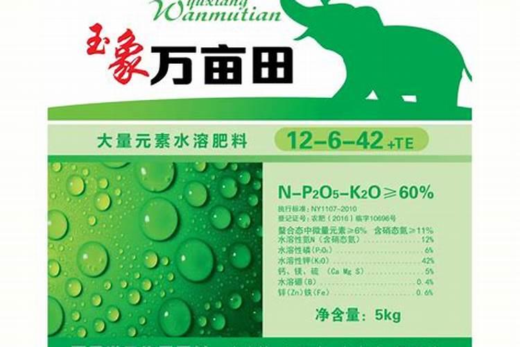 西红柿移栽苗后用什么肥料好？