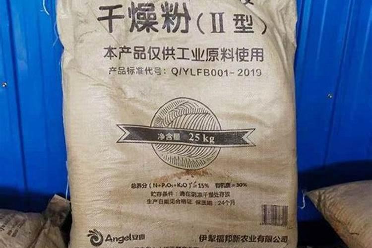 金桔什么时候种植 种植金桔的方法