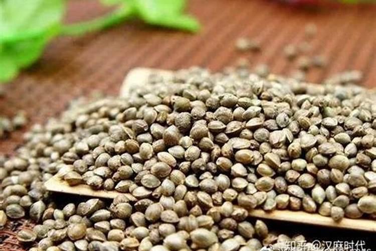 君子兰最好的肥料是什么？