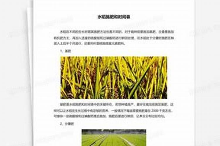 水稻硼肥的作用及使用方法