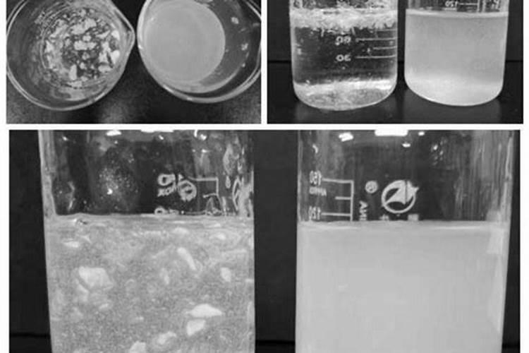 鱼蛋白肥料哪个品牌好
