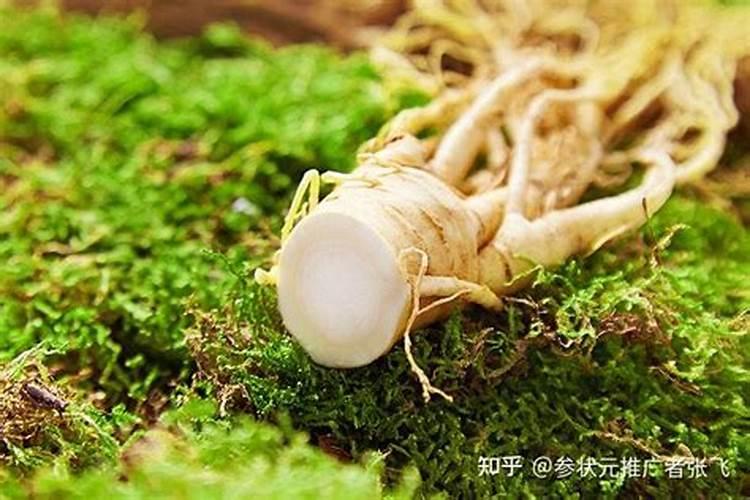 西洋参种植条件和方法