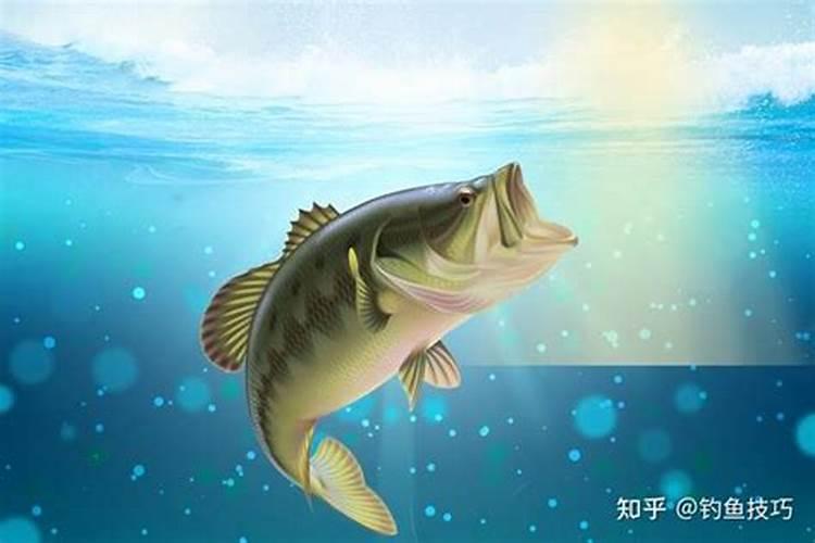 真正的鱼蛋白有味道吗？