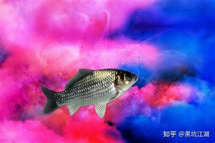 如何辨别是否为深海鳕鱼的胶原蛋白