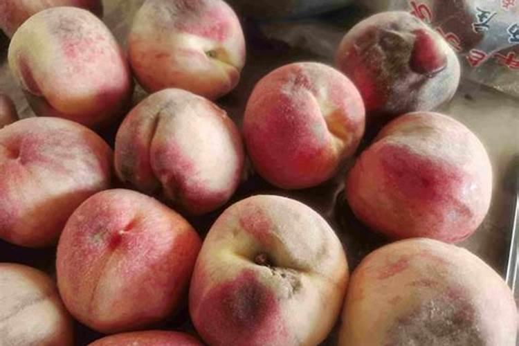 烂桃可以做肥料吗 烂桃能做肥料吗
