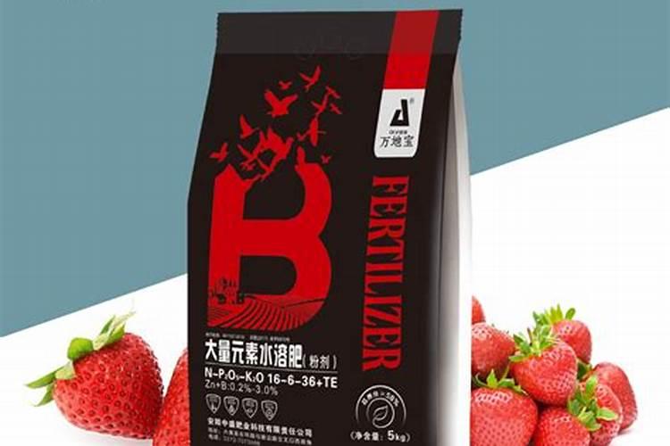 怎么合理的给草莓施肥？