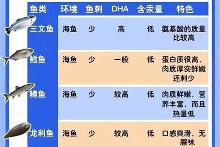 大头鱼吃什么饲料