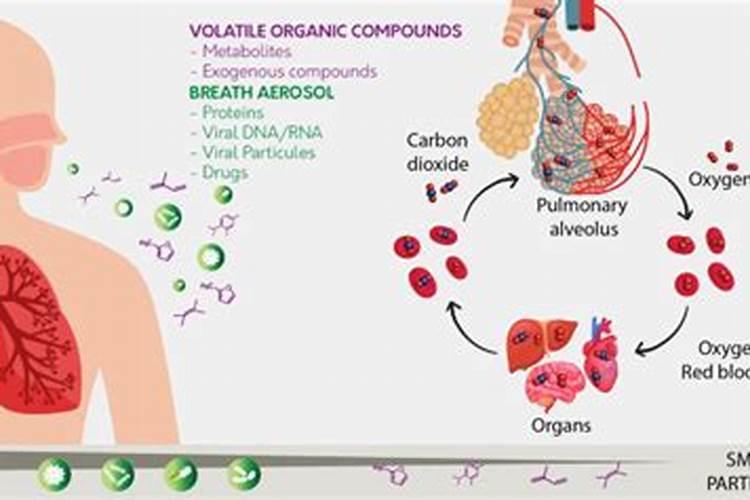 化肥散发的刺鼻味道有毒吗