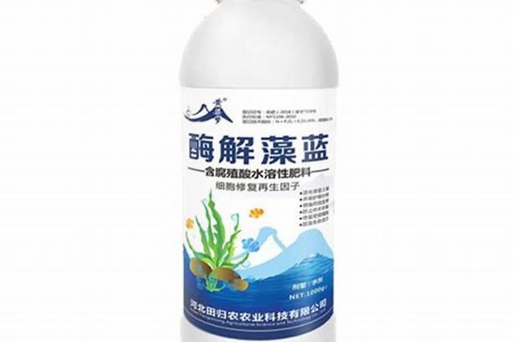 怎样补救沙糖桔环割失败？