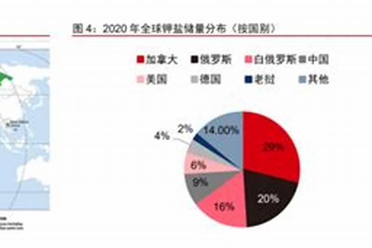 俄罗斯出口产品总量前十名