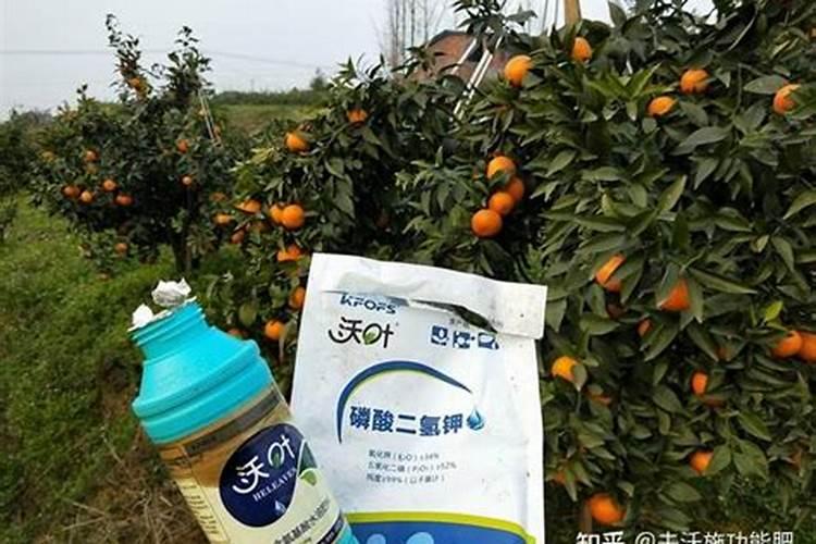 农作物防冻害可以使用哪些药剂呢？