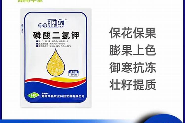 柑橘开春用什么肥料