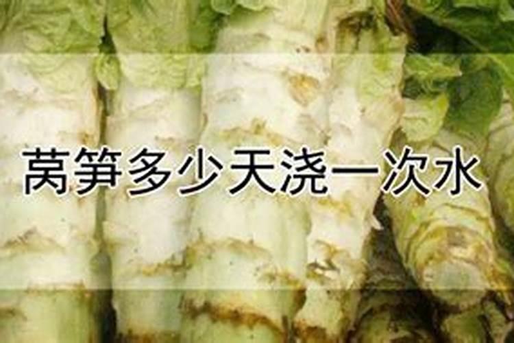 叶面肥什么时候打效果好