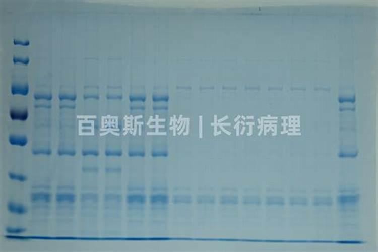 钾肥的正确使用方法