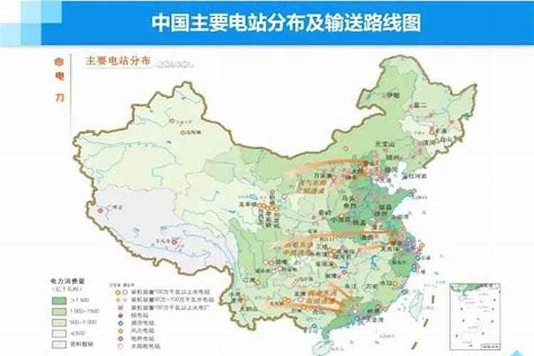 矮牵牛叶子发黄不长是缺肥吗 矮牵牛卷叶怎么回事