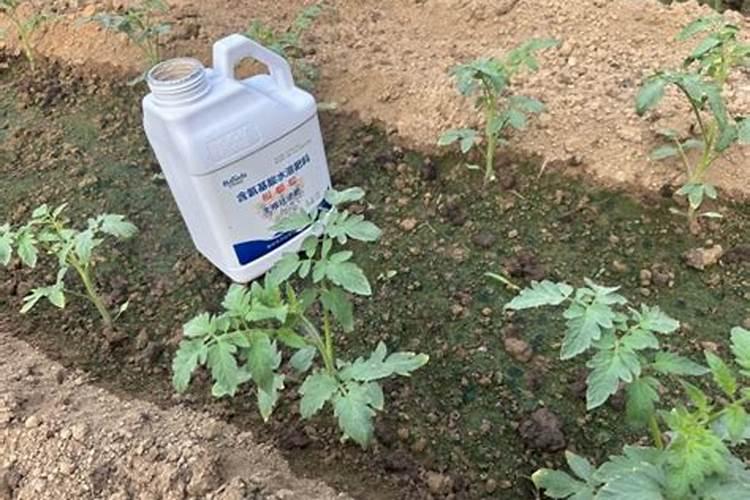 含腐植酸水溶肥的肥料冬季怎么保管