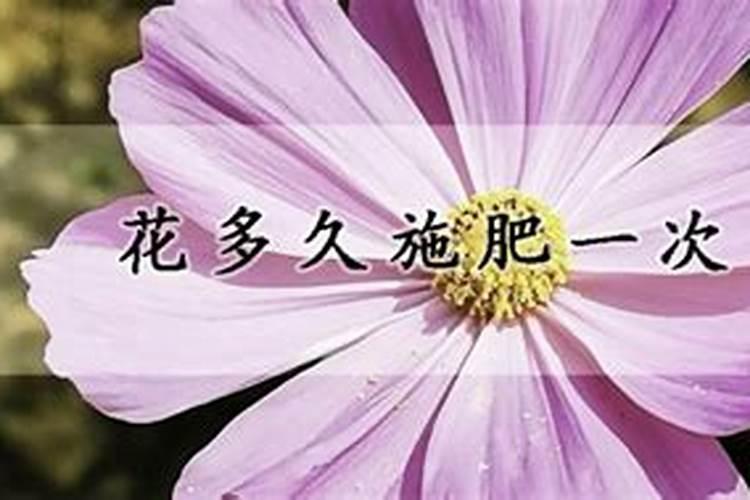 花多久施肥一次 养花多久施一次肥