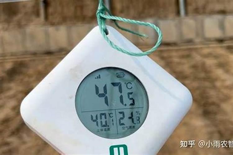大棚草莓苗控大了用什么叶面肥好？