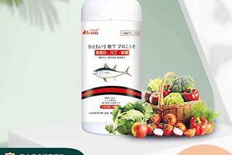 鱼蛋白自制配方比例