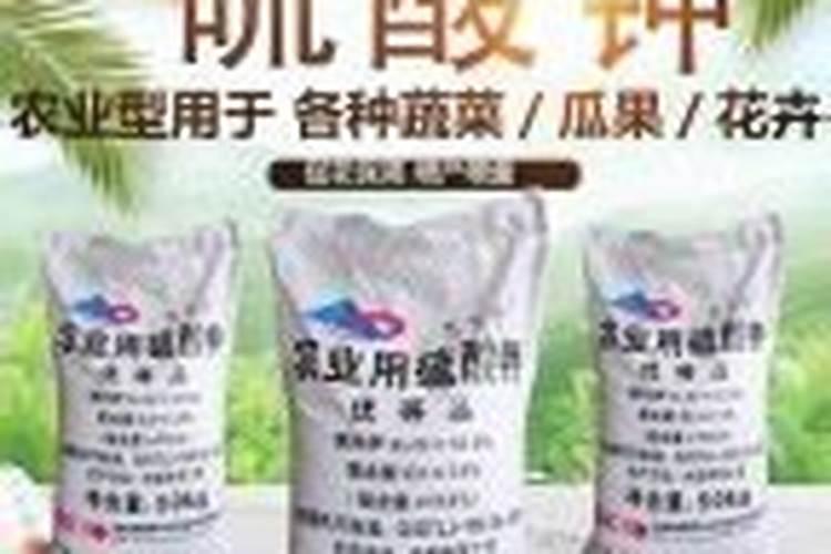 养花什么时候施氮肥(给花施氮肥比例是多少)