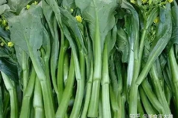 红菜苔打什么药防冻最好