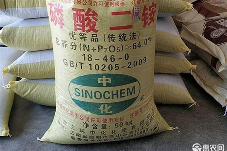 种玉米用二铵好还是复合肥好呢？
