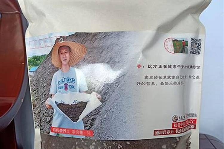 土壤污染的危害有哪些？