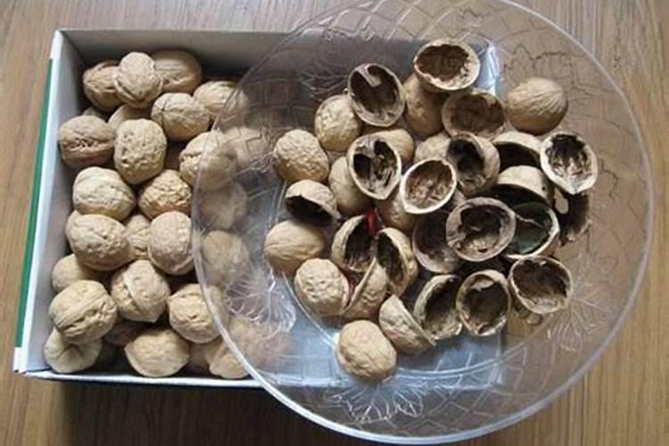 核桃那绿皮能不能给花当肥料