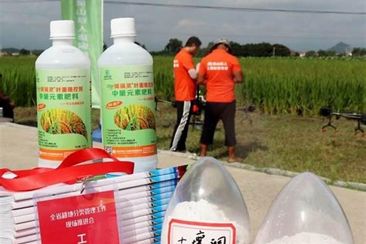 种茄子和辣椒茄子可以用硅肥吗