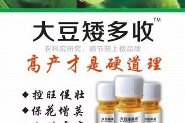 夏大豆开花管理很重要,夏大豆开花如何管理？
