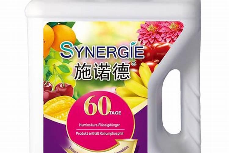 打造庭院不可或缺的绿植——枫树
