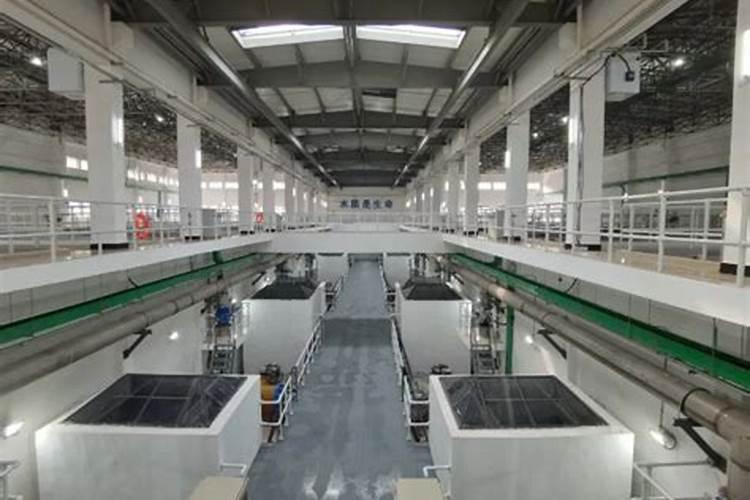 多普乐水溶肥怎么样好用吗