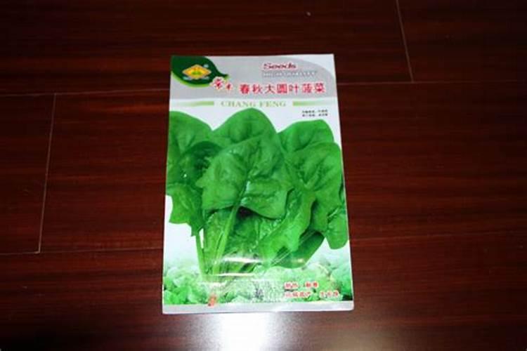 沈阳花宝园艺有限公司怎么样？