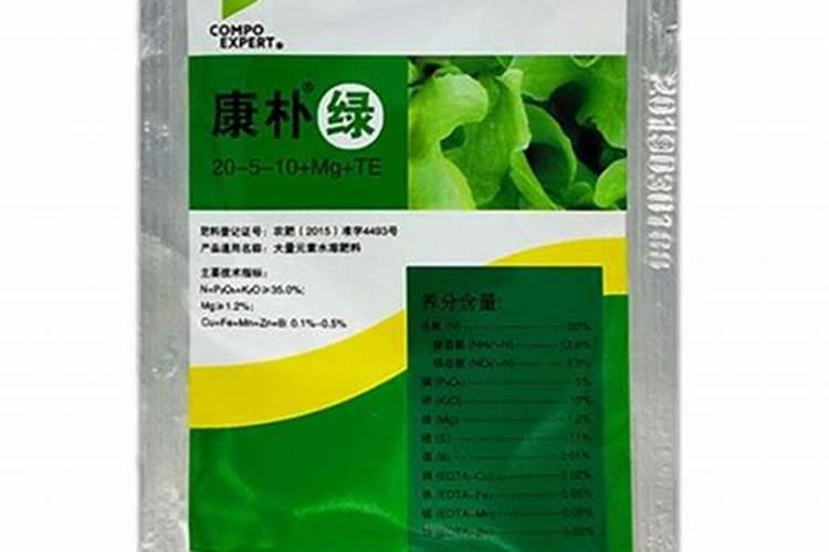 巧克力花植物怎么养？它喜欢在阳光下还是在室内!