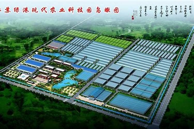 莴笋喷磷酸二氢钾叶面肥有什么效果