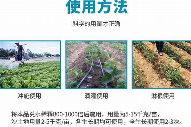 高氮高钾水溶肥什么时候使用？