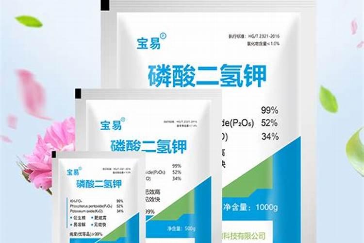 绿萝快速长藤小妙招